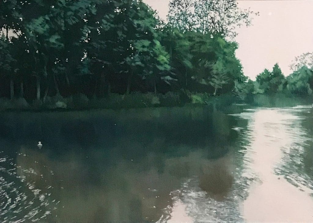 Caen Meadow Wroxham landscape painting by Claire Cansick