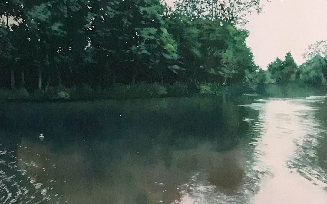 Caen Meadow Wroxham landscape painting by Claire Cansick