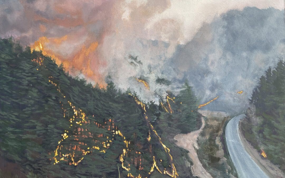 South Korea Wildfire by Claire Cansick