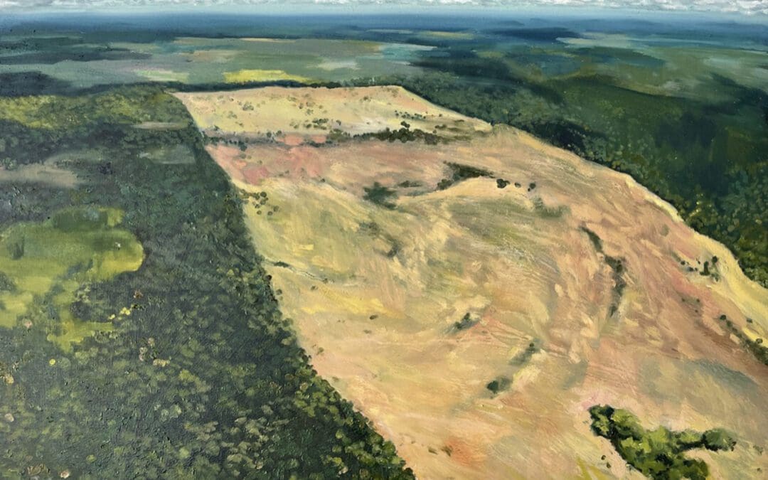 Amazon Deforestation 26.03 Greenpeace by Claire Cansick