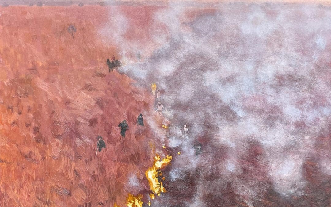 Argentina Wetland Fires 18.02 Reuters painting by Claire Cansick