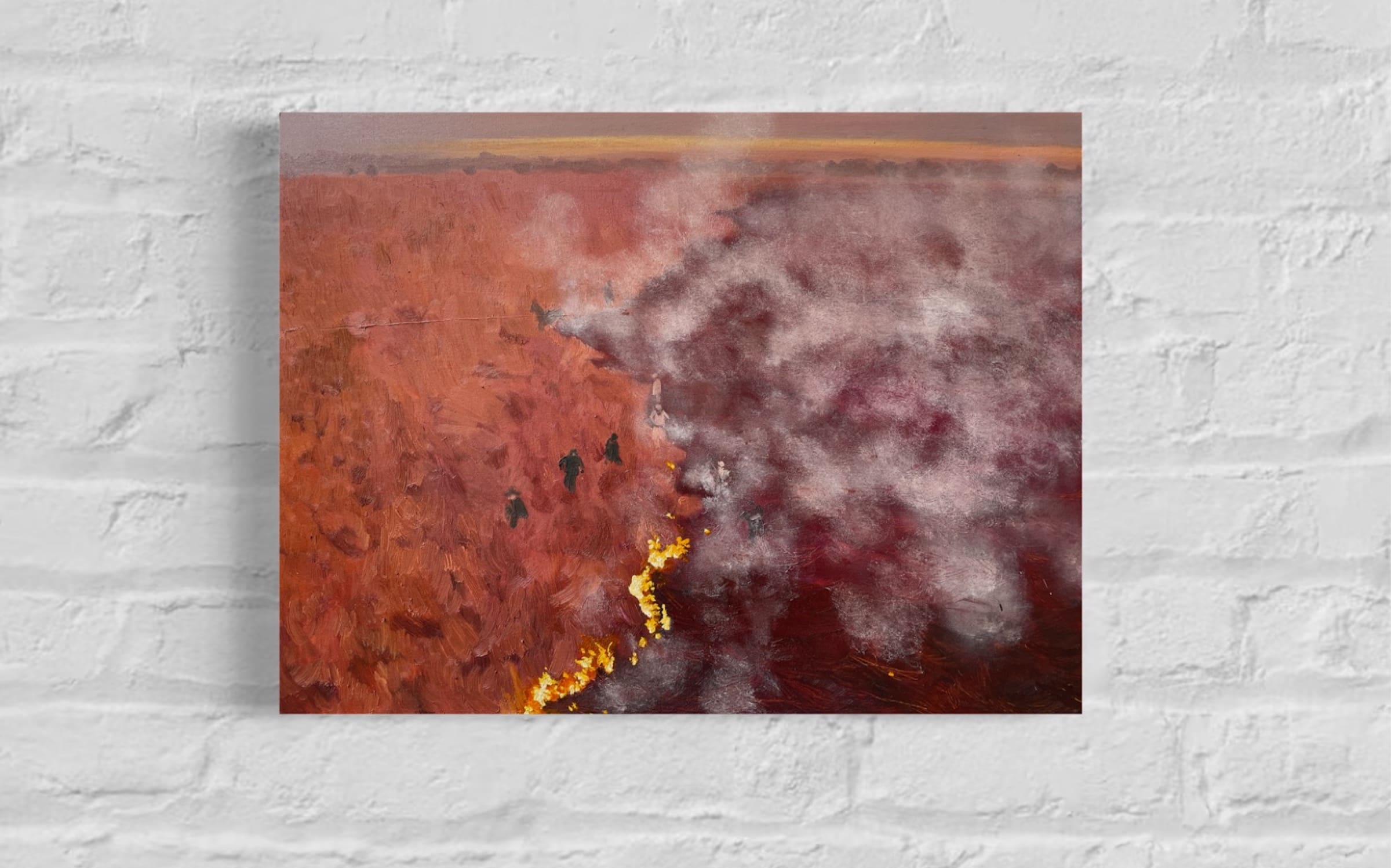 Argentina Wetland Fires 18.02 Reuters - Image 2