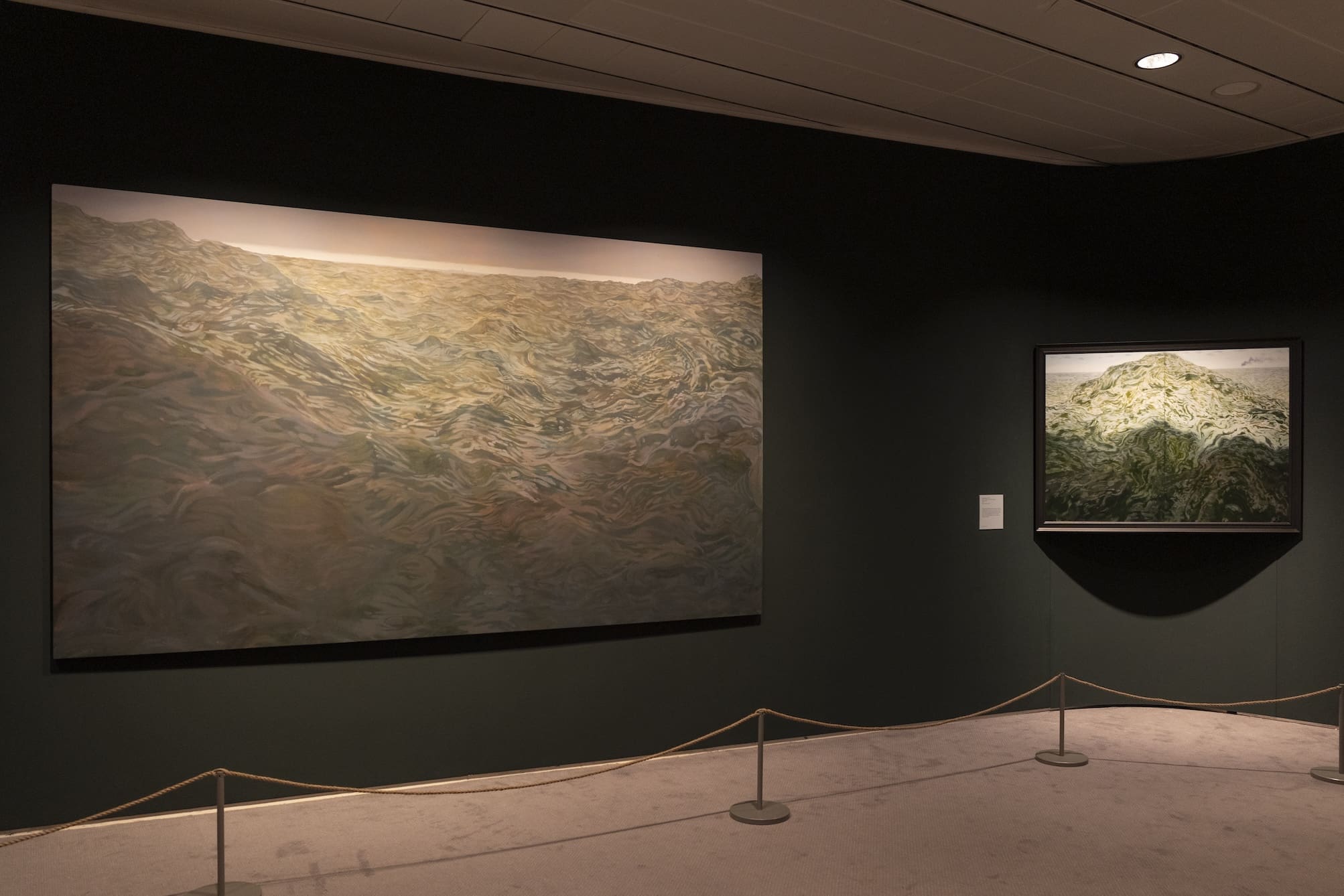 A World of Water_Sainsbury Centre. Photo- Kate Wolstenholme