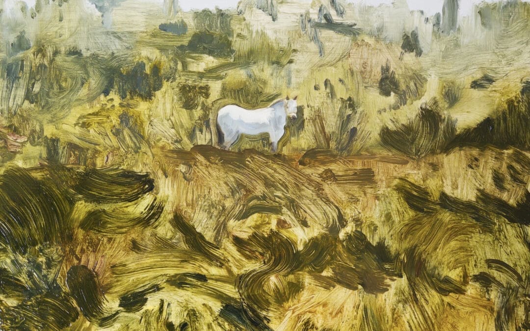 Horse in a Field by Claire Cansick