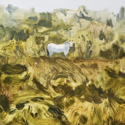 Horse in a Field by Claire Cansick